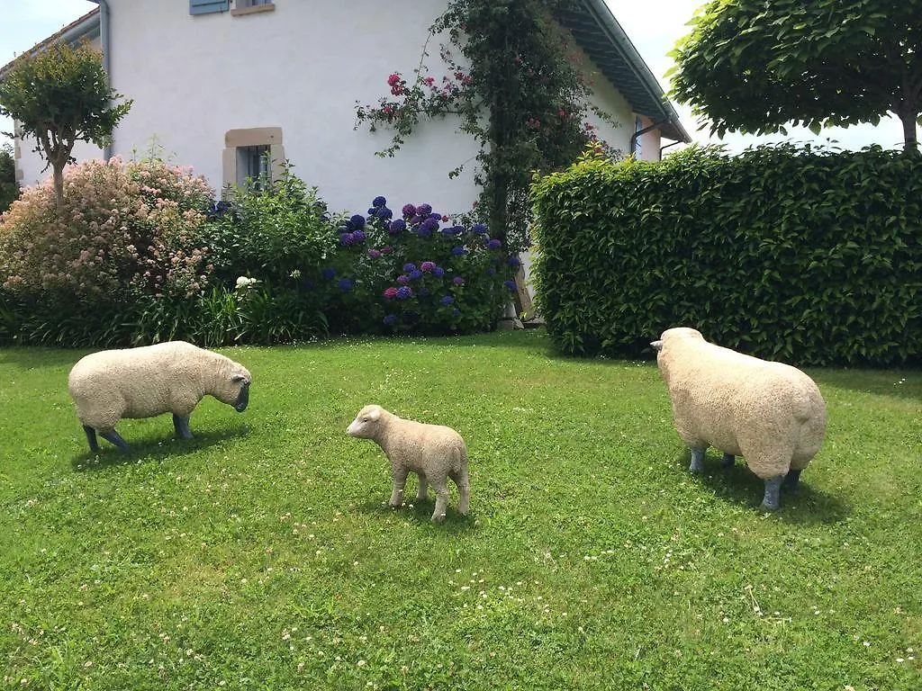 Les Volets Bleus Bed & Breakfast Arcangues